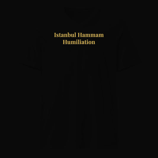 Istanbul Hammam Humiliation - Satirical Old Money T-Shirt by Boogie Threads Co