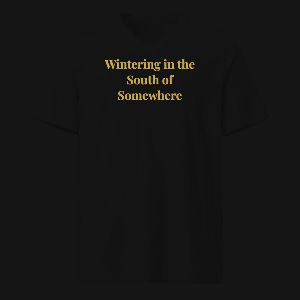 Wintering in the South of Somewhere