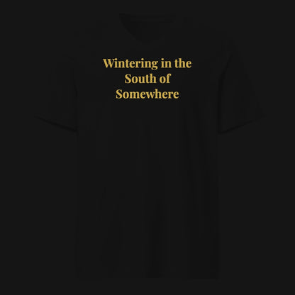 Wintering in the South of Somewhere